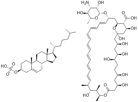 Amphocil 120895-52-5